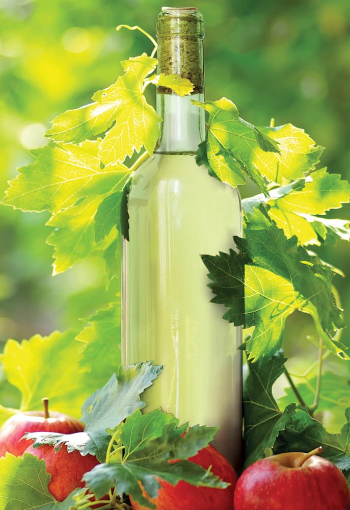 Armstrong Apples Orchard & Winery