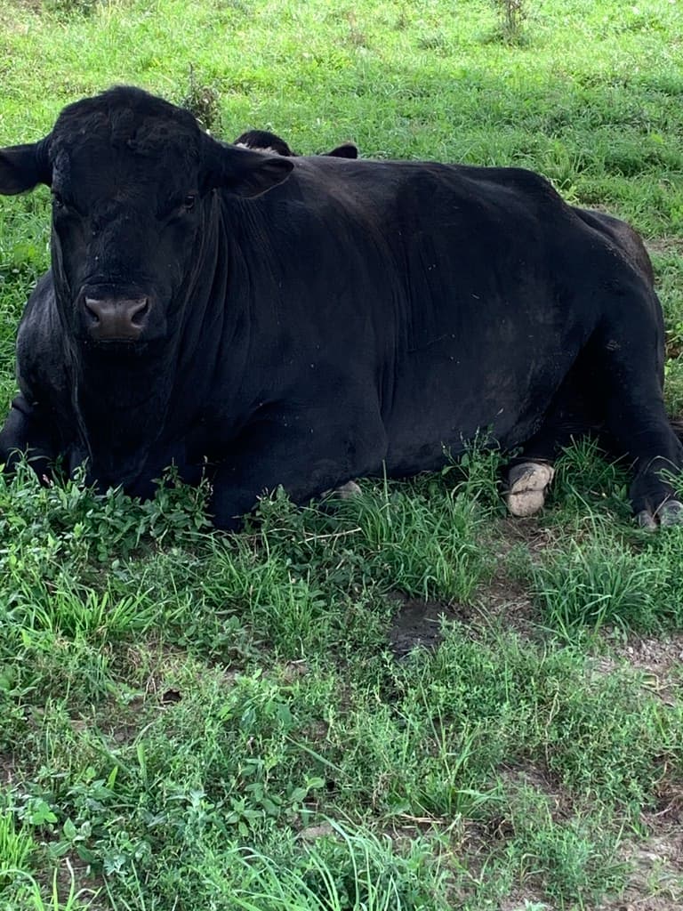 This Old Barn Farm & Flowers