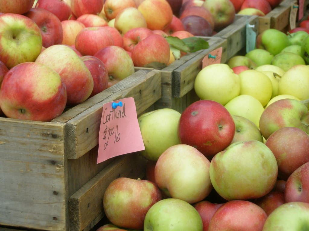 Boston Public Market at the Downtown Crossing Holiday Market