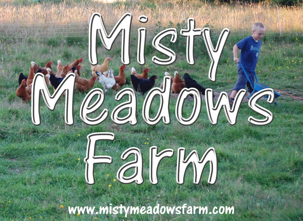 Misty Meadows Farm