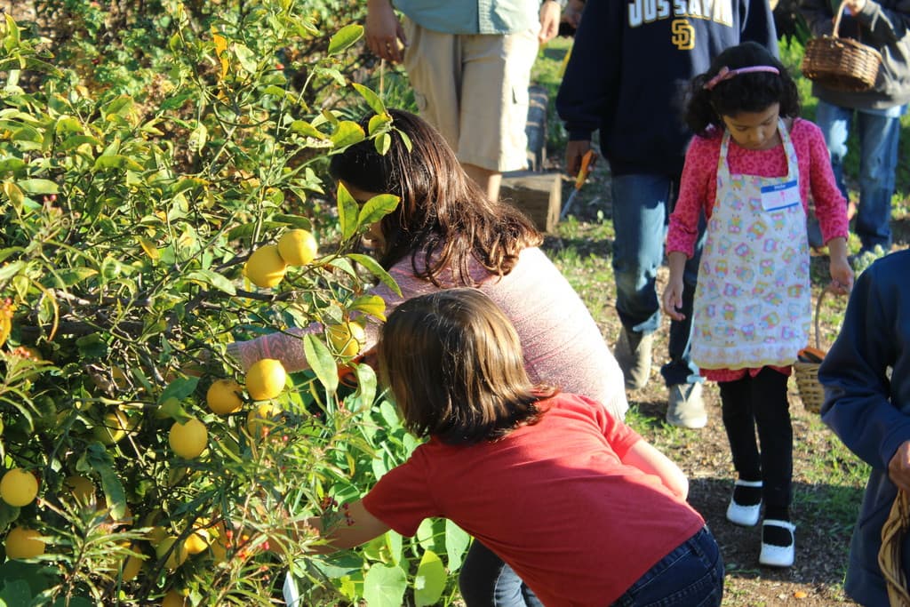 Oliewood Gardens and Learning Center