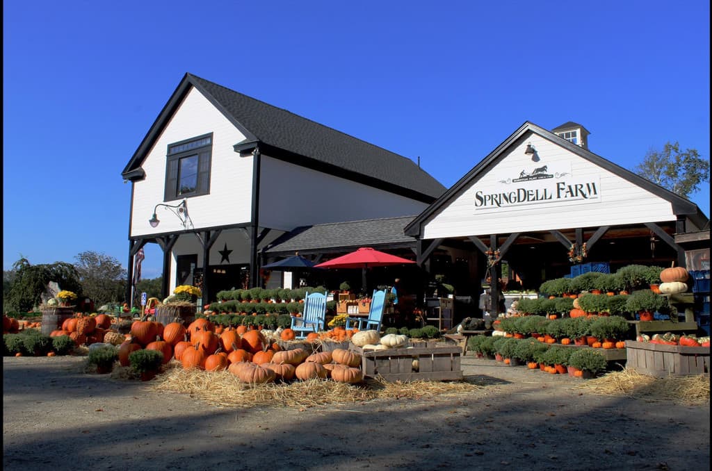 SpringDell Farm | The Theodoros Family