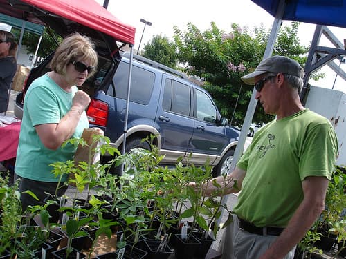 Red Mill Green Market