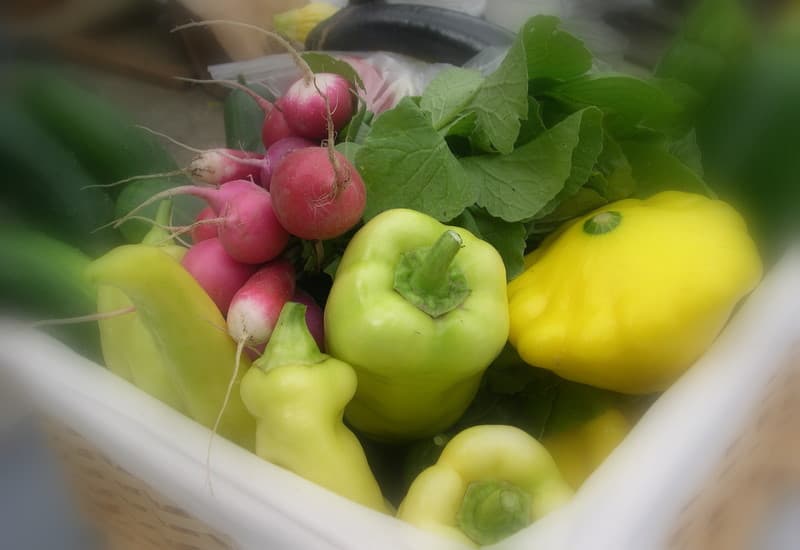 Slice of Heaven Gardens