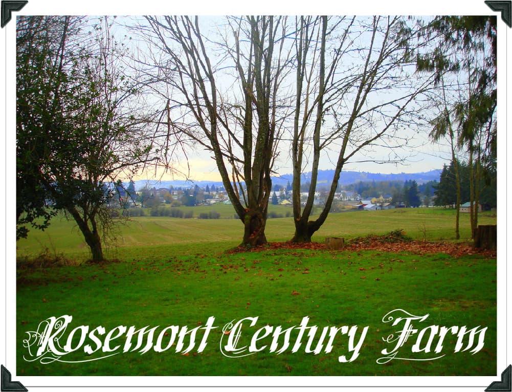 Rosemont Century Farm