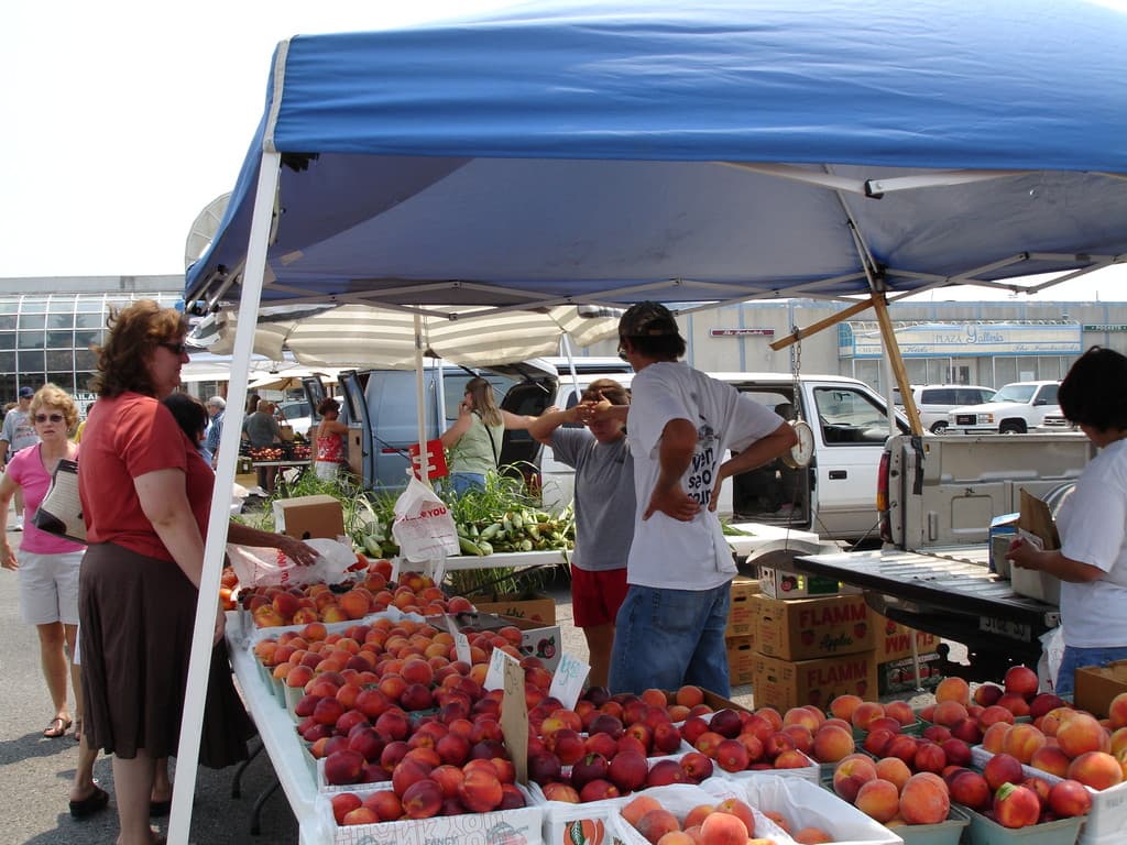 Cape Farmers' Market