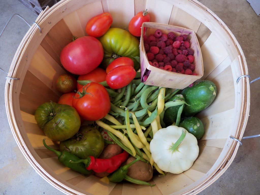 Prairie Winds Nature Farm