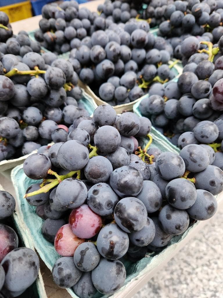 Northcenter Farmers Market