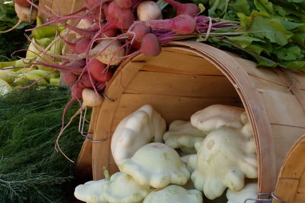 Colorado Farm+Art Market North