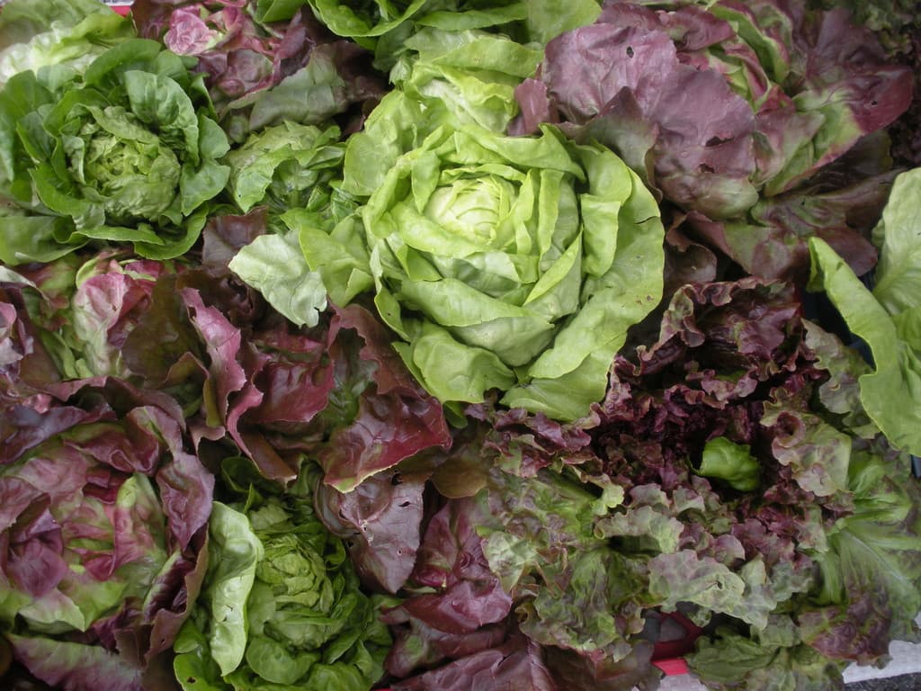 York Gateway Farmers' Market