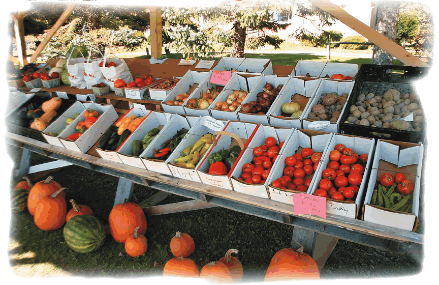 Maple Valley Sugarbush & Farm