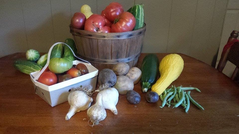 Organic Gardens by Meg