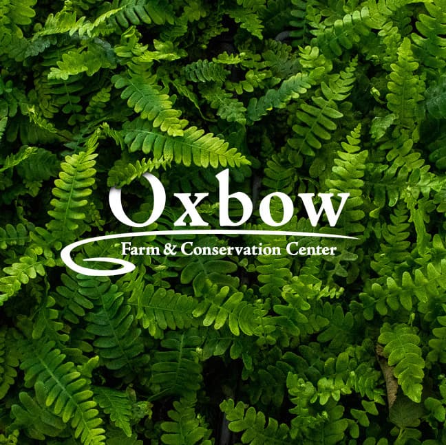 Oxbow Farm & Conservation Center