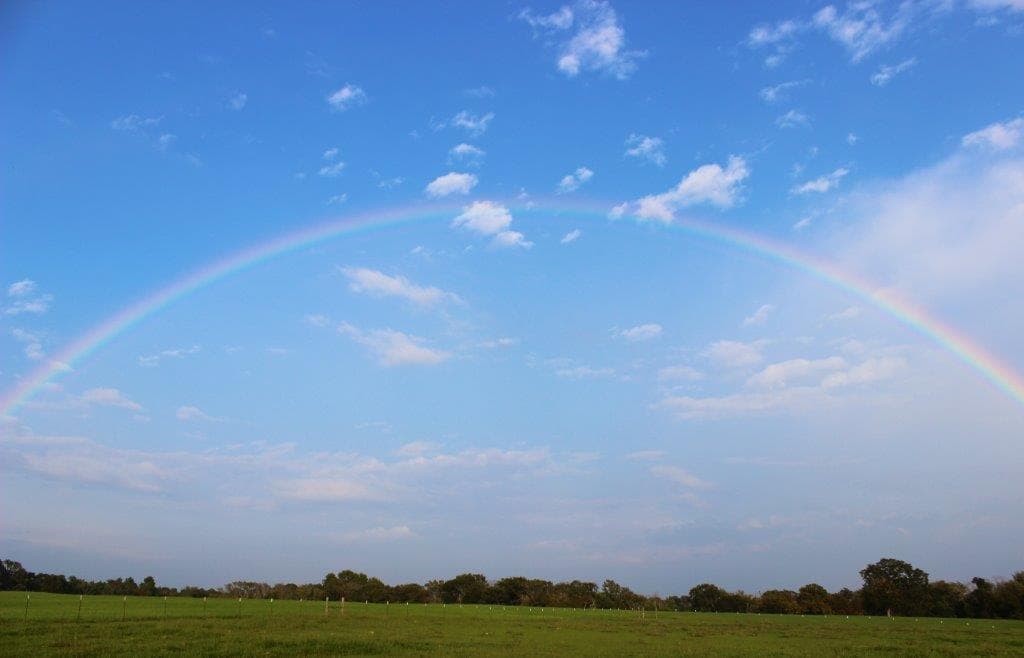 Promise Hill Farm LLC.
