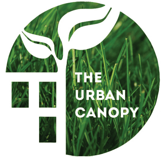The Urban Canopy