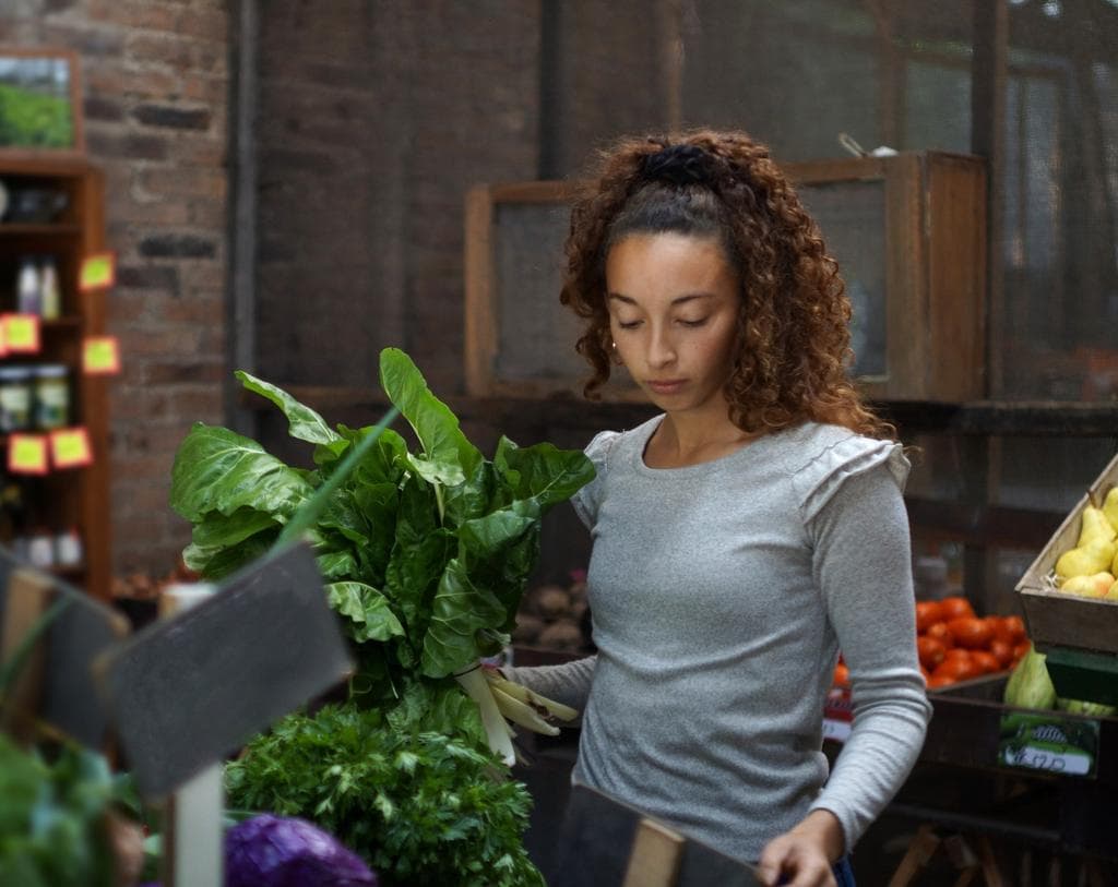 Fresh Harvest Market