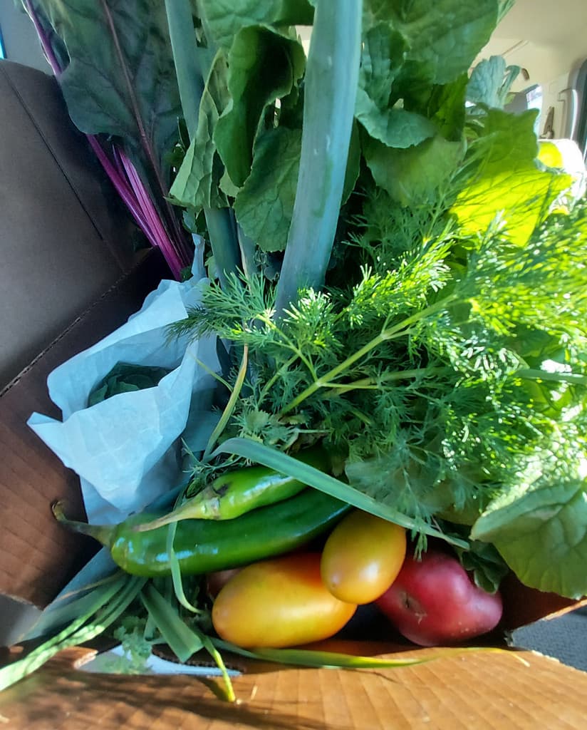 Madison Farm_Bellingham