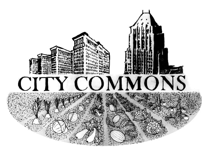 City Commons CSA