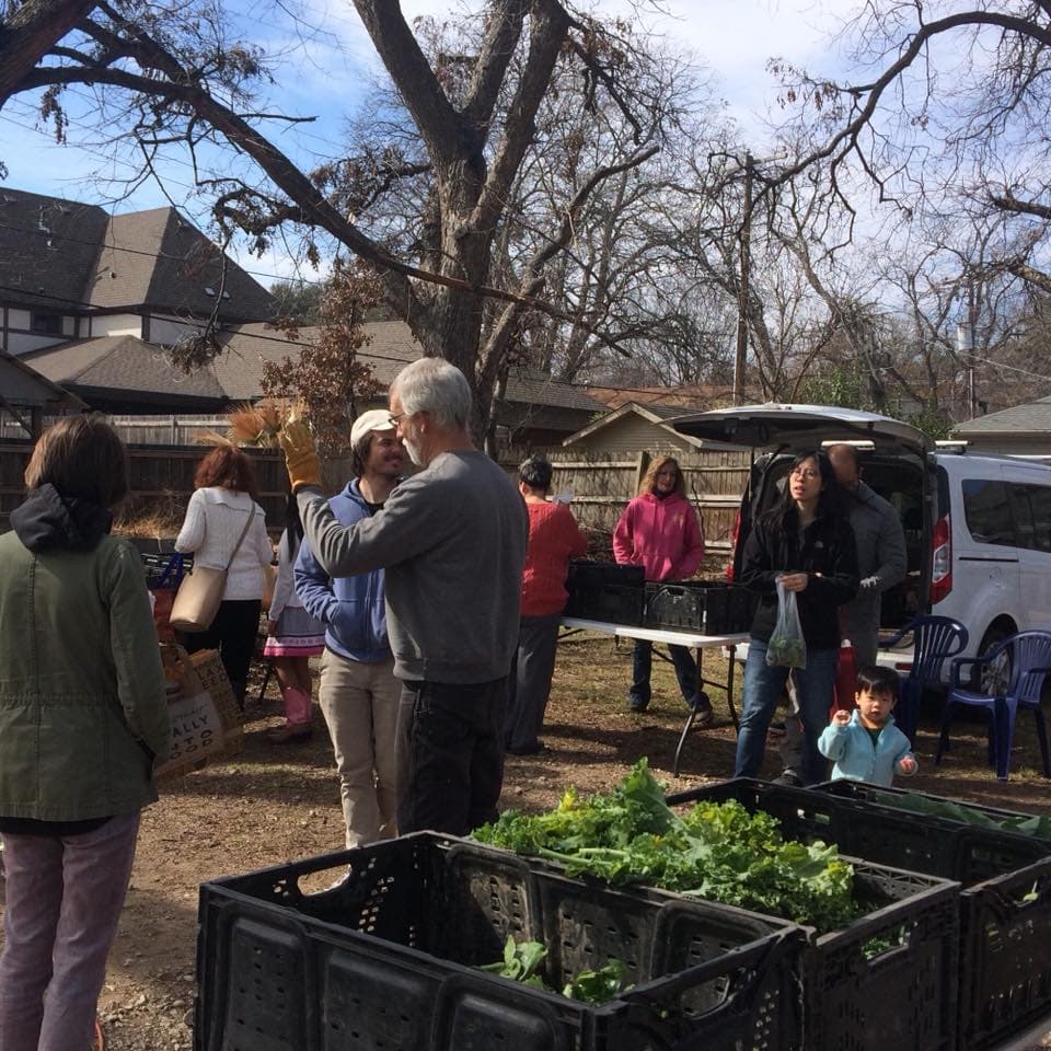 Cold Springs Farm CSA
