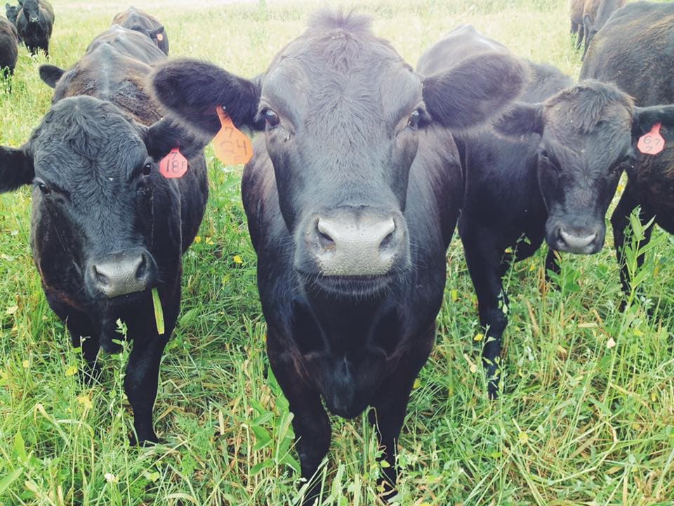 Forks Farm & Market LLC