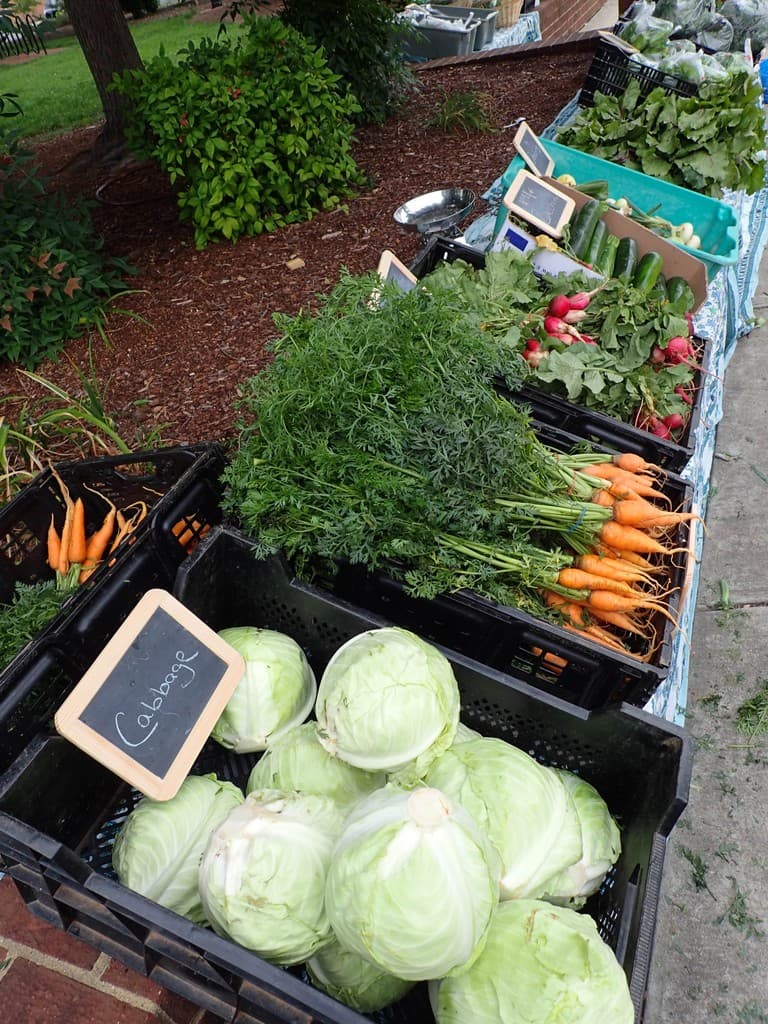 Fredericksburg Area CSA Project (FACSAP)