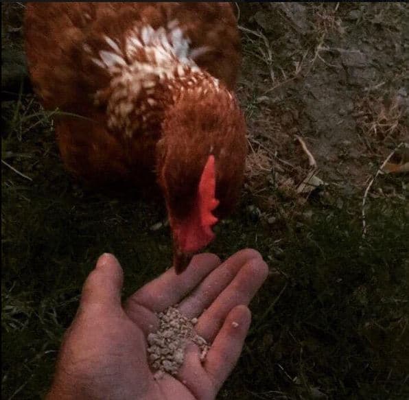 Deuw Lulang-Ford Foundation