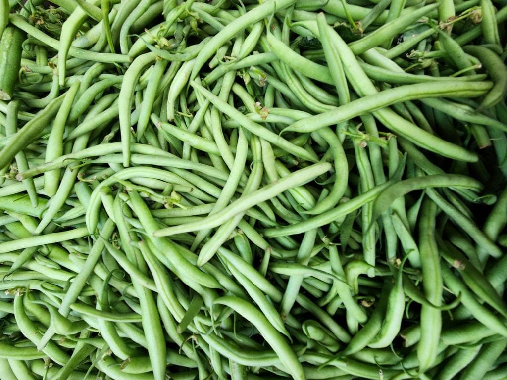 Hyde Park Farmers Market