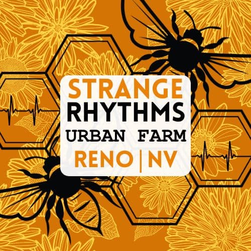 Strange Rhythms Urban Farm