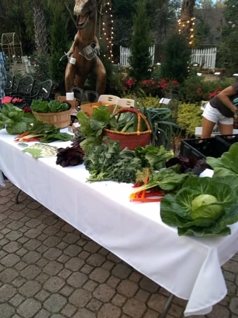 downtown farmers market. Live Oak, Fl.