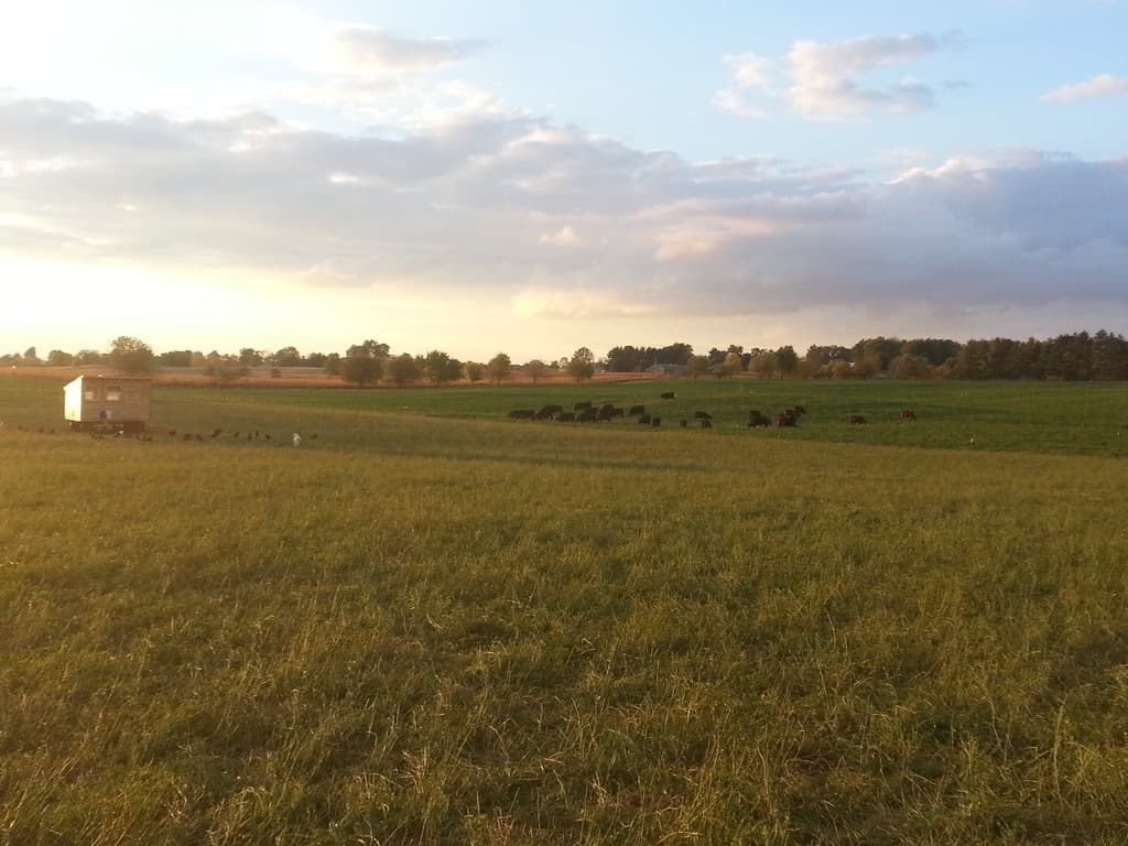 Kraut Creek Pastures