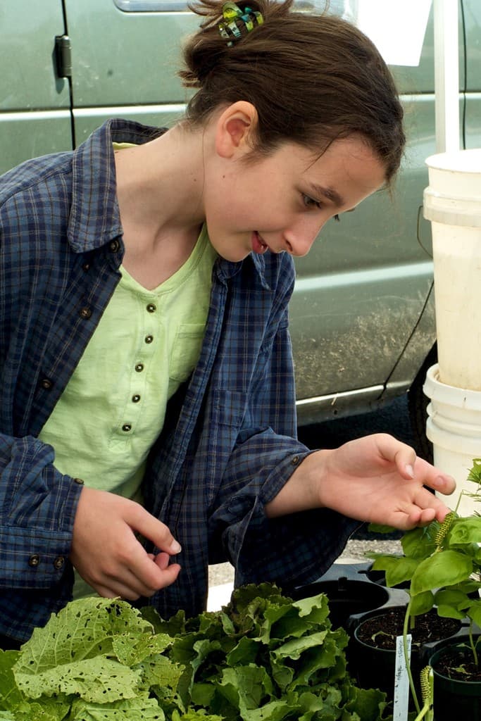 Biophilia Organic Farm