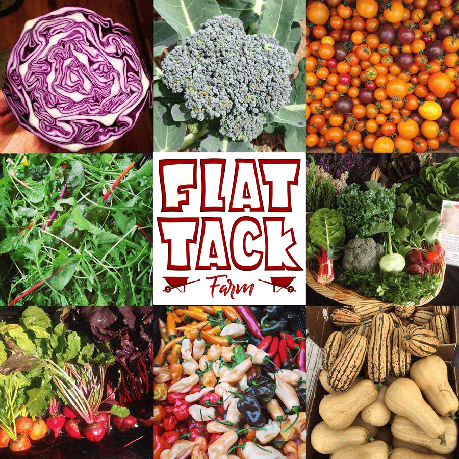 Flat Tack Farm