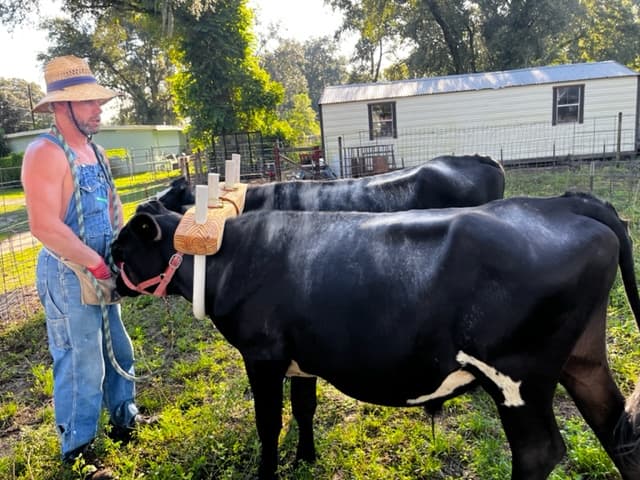 Twenty-Four Rivers, LLC