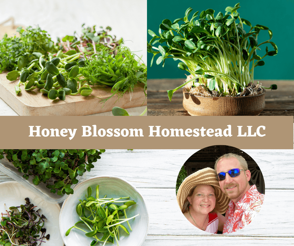 Honey Blossom Homestead LLC