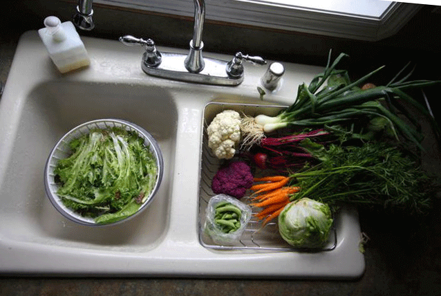 Madison Meadowlark CSA