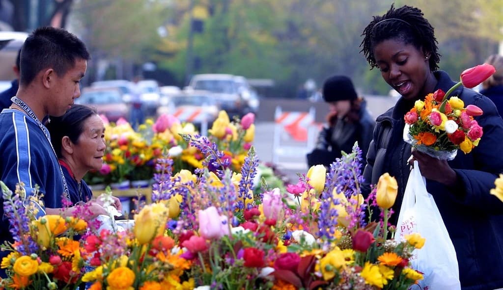 Downtown Chico Thursday Night Market