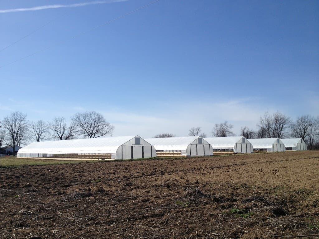 Green Gardens Community Farm