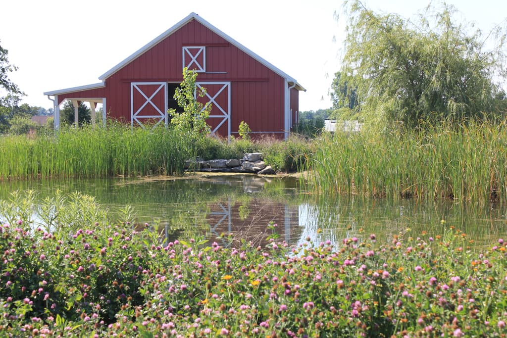 Mockingbird Meadows Farm