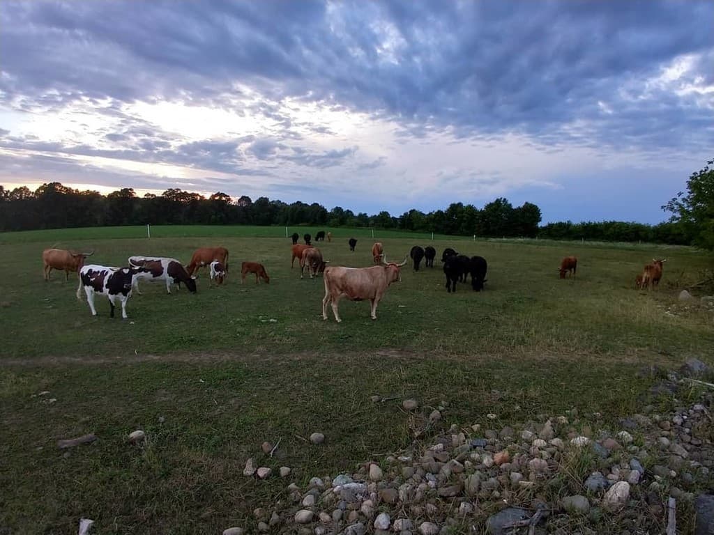 Konrath Natural Farm