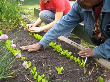 Common Good City Farm