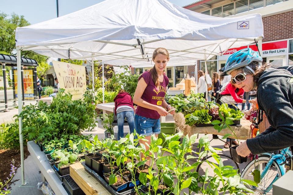 Loyola Farmers Market