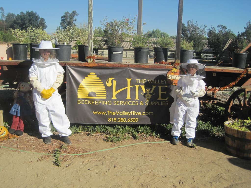 The Valley Hive