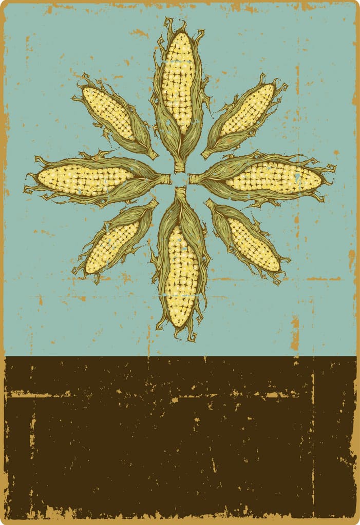 Draper Valley Farmer's Market