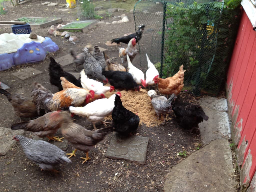 Wick Place Candles & Farm LLC