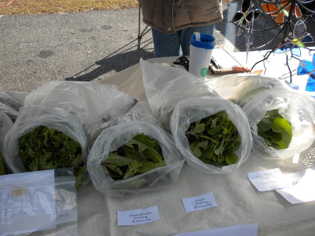 Stewards of the Earth Farmers Market