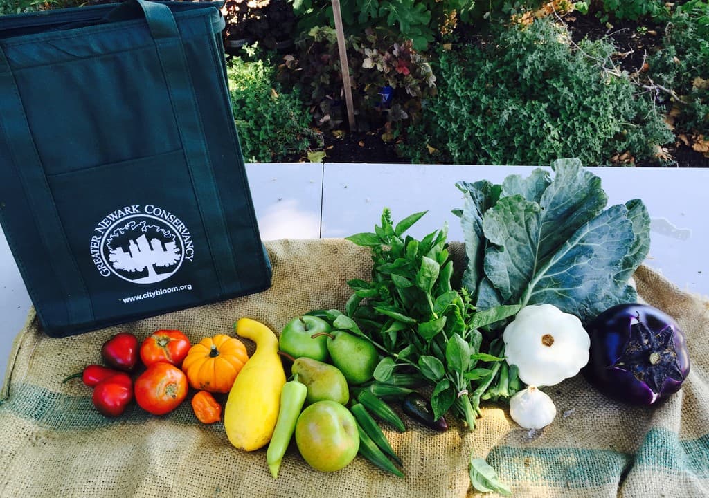 Greater Newark Conservancy