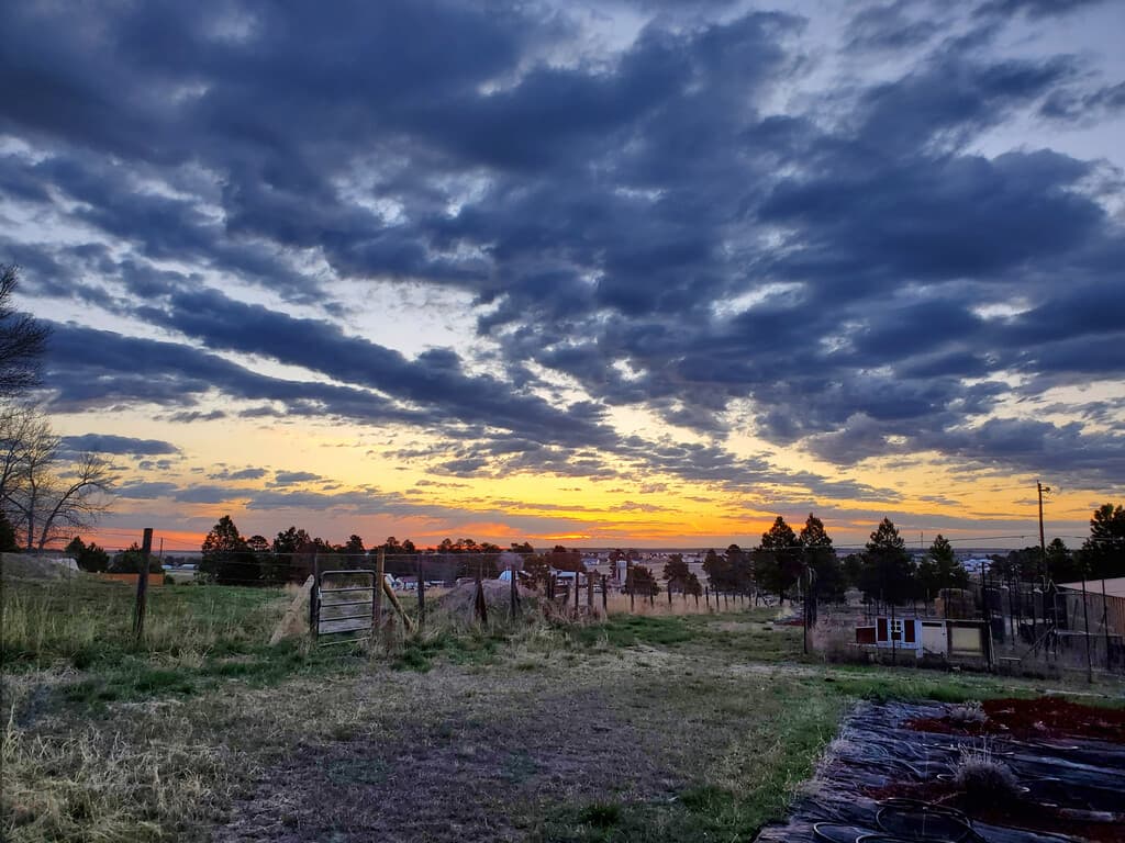 Ponderosa Plains Farm