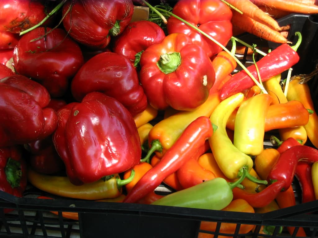 Kennedy Plaza Farmer's Market