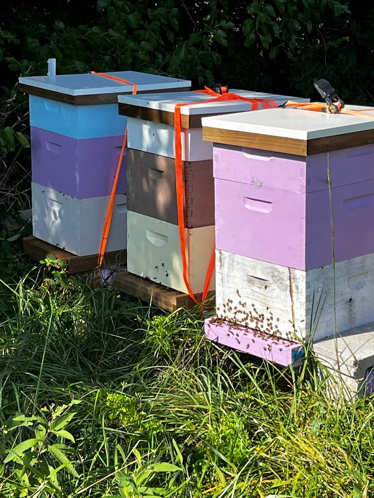 Highland Hills Apiary