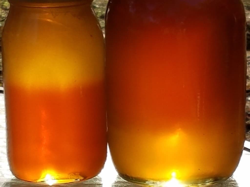 Form Research and Laboratory Services, LLC